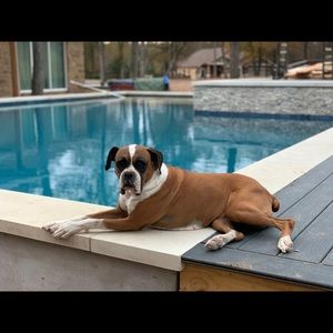 Meet your Posher, Olivia